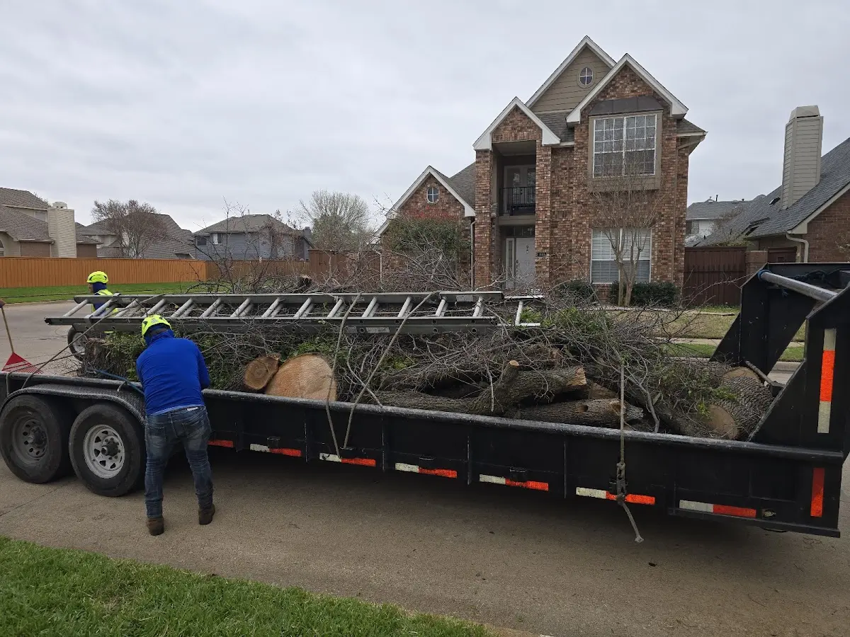 Expert Lot Clearing with proper safety equipment in Tuluksak